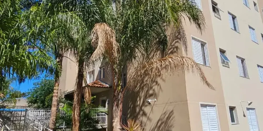 CONDO 5