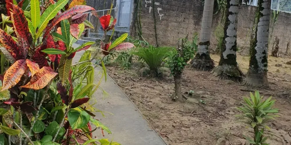 SITIO 12